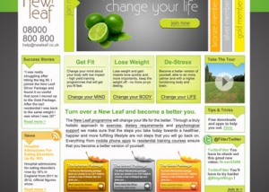 New Leaf website design by Dragonfly Marketing